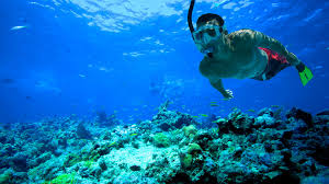 Snorkling at Mahmya Island Hurghada